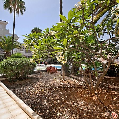 Breeze Island Apartment Chayofa Bagian luar foto